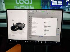 Tesla Model 3 Rear-Wheel Drive - ფოტო 14