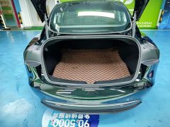 Tesla Model 3 Rear-Wheel Drive - ფოტო 18
