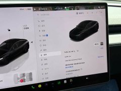 Tesla Model Y Rear-Wheel Drive - ფოტო 12