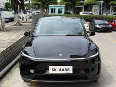 Tesla Model Y Rear-Wheel Drive - ფოტო 2