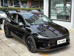 Tesla Model Y Rear-Wheel Drive - ფოტო 3