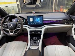 BYD Song Plus New Energy EV Premier - ფოტო 10