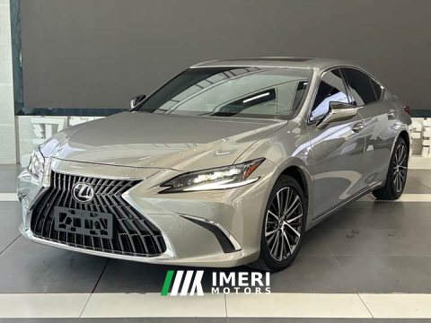 2022 Lexus ES 300h Premium Edition - ავტომობილი ჩინეთიდან