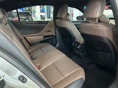 Lexus ES 300h Premium Edition - ფოტო 11