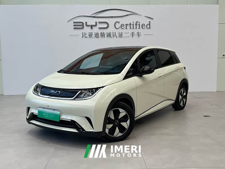 BYD Dolphin Glory Edition 420km Fashion Version - ავტომობილი ჩინეთიდან