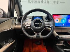BYD Dolphin Glory Edition 420km Fashion Version - ფოტო 12