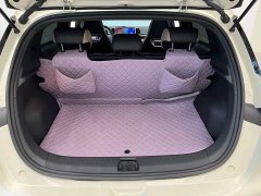 BYD Dolphin Glory Edition 420km Fashion Version - ფოტო 13