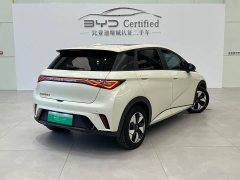 BYD Dolphin Glory Edition 420km Fashion Version - ფოტო 17