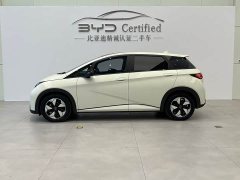 BYD Dolphin Glory Edition 420km Fashion Version - ფოტო 3
