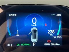 BYD Dolphin Glory Edition 420km Fashion Version - ფოტო 4
