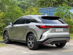 Lexus RX 300 AWD Premium Edition - ფოტო 5