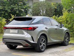 Lexus RX 300 AWD Premium Edition - ფოტო 6