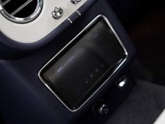 Bentley Bentayga 2022 4.0T V8 - ფოტო 12