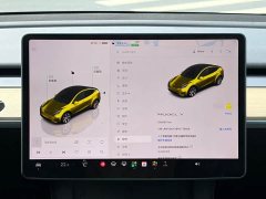 Tesla Model Y 2022 Facelift Rear-Wheel Drive - ფოტო 9
