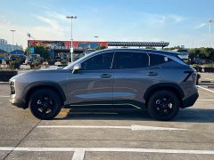 Jetour Jietu Dasheng 1.5T DCT Youth UP - ფოტო 2