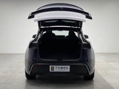 Tesla Model Y Rear-Wheel Drive - ფოტო 10