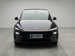 Tesla Model Y Rear-Wheel Drive - ფოტო 2