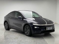 Tesla Model Y Rear-Wheel Drive - ფოტო 3