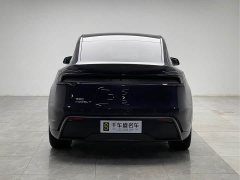 Tesla Model Y Rear-Wheel Drive - ფოტო 5