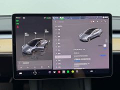 Tesla Model 3 Rear-Wheel Drive - ფოტო 20