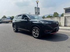 Haval H6 2022 Third Generation 1.5T Automatic Two-Wheel Drive Supreme - ფოტო 4
