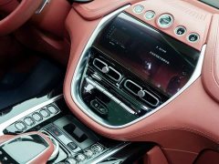 Aston Martin DBX 3.0T Inline-Six - ფოტო 14