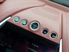 Aston Martin DBX 3.0T Inline-Six - ფოტო 15