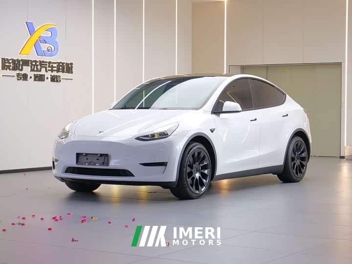 Tesla Model Y 2022 Facelift Rear-Wheel Drive - ავტომობილი ჩინეთიდან