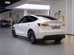 Tesla Model Y 2022 Facelift Rear-Wheel Drive - ფოტო 8