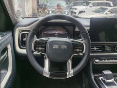 Beijing Jeep BJ60 2022 2.0T May Day Edition 7-Seater - ფოტო 7