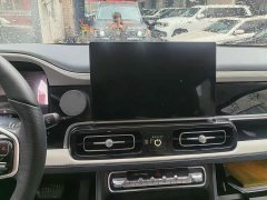 Beijing Jeep BJ60 2022 2.0T May Day Edition 7-Seater - ფოტო 8