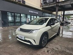 BYD Dolphin Glory Edition 420km Freedom Version - ფოტო 1