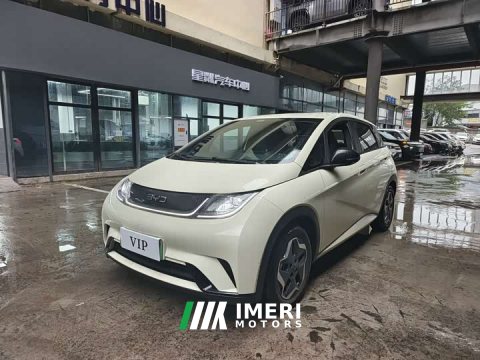 2024 BYD Dolphin Glory Edition 420km Freedom Version - ავტომობილი ჩინეთიდან