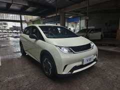BYD Dolphin Glory Edition 420km Freedom Version - ფოტო 3