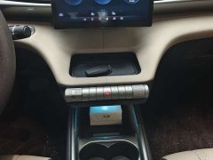 BYD Dolphin Glory Edition 420km Freedom Version - ფოტო 6
