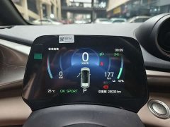 BYD Dolphin Glory Edition 420km Freedom Version - ფოტო 7
