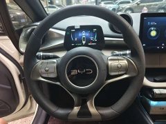 BYD Dolphin Glory Edition 420km Freedom Version - ფოტო 8