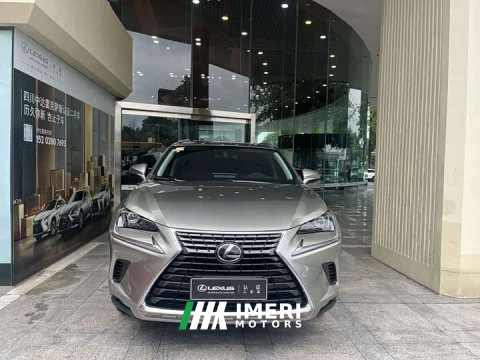 2021 Lexus NX 2020 200 AWD Sharp Luxury Edition National VI - ავტომობილი ჩინეთიდან