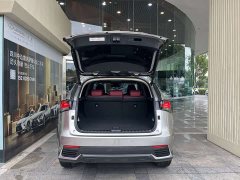 Lexus NX 2020 200 AWD Sharp Luxury Edition National VI - ფოტო 8