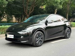 Tesla Model Y Rear-Wheel Drive - ფოტო 1