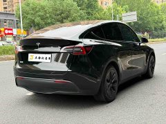 Tesla Model Y Rear-Wheel Drive - ფოტო 10