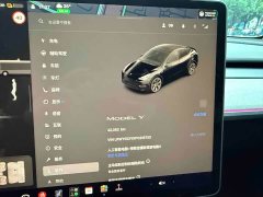 Tesla Model Y Rear-Wheel Drive - ფოტო 18