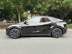 Tesla Model Y Rear-Wheel Drive - ფოტო 5