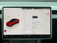 Tesla Model 3 High Performance All-Wheel Drive - ფოტო 3