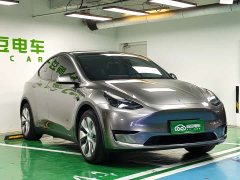 Tesla Model Y Rear-Wheel Drive - ფოტო 5