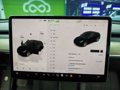 Tesla Model Y Rear-Wheel Drive - ფოტო 9