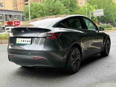 Tesla Model Y Long Range All-Wheel Drive - ფოტო 10