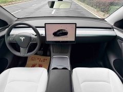 Tesla Model Y Long Range All-Wheel Drive - ფოტო 13