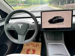 Tesla Model Y Long Range All-Wheel Drive - ფოტო 15