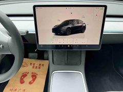 Tesla Model Y Long Range All-Wheel Drive - ფოტო 16